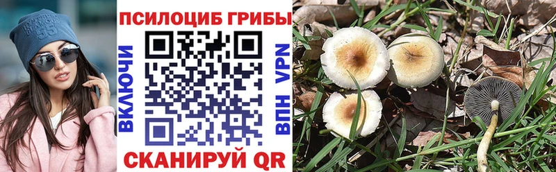Псилоцибиновые грибы мухоморы  Купить  Курильск 