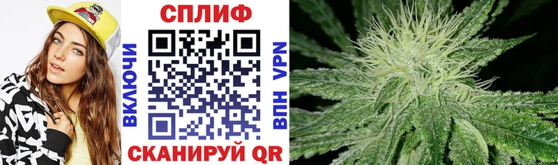 Купить где  Курильск  Каннабис THC 21% 
